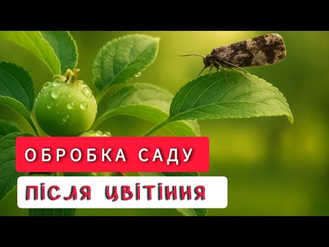 Видео: Обробка саду після цвітіння 🍒🍎🍏🍐🍊