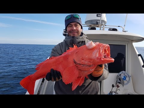 Видео: Камчатка. Часть 2. Рыбалка в Тихом океане. Сентябрь 2018.