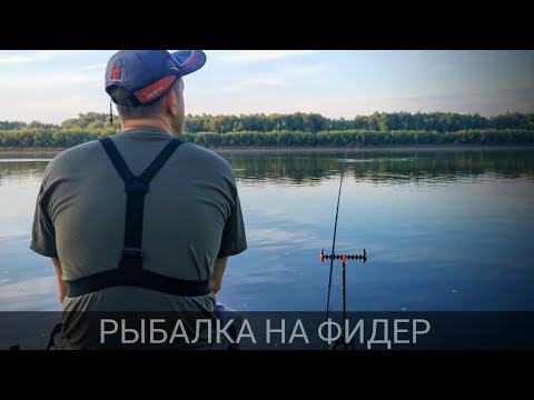 Видео: Рыбалка 2025. Фидер на реке. Поклёвки на фидер.