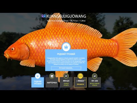 Видео: ПРОВЕРКА ФАРМА СЕРЕБРА и КОИ на МЕДНОМ и ЗА ТРОФЕЙНЫМ ОСЕТРОМ на ТУНГУСКУ РУССКАЯ РЫБАЛКА 4 РР4