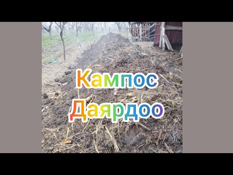 Видео: N53 кампос даярдоо