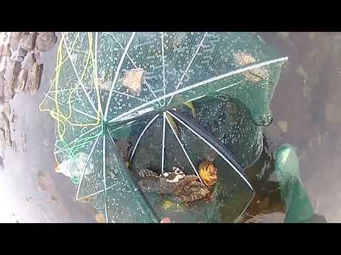 Видео: Морской поход или путешествие по Татарскому проливу. 1часть.