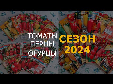 Видео: ЧТО САЖАЕМ/СЕЗОН 2024/ТОМАТЫ/ПЕРЦЫ/ОГУРЦЫ #ленинградскаяобласть