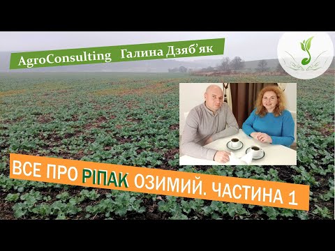 Видео: Урожайність ріпаку 6 т/га. Технологією вирощування ділиться Ярослав Бай. Осінній період