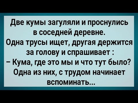 Видео: Как Две Кумы Загуляли! Сборник Свежих Анекдотов! Юмор!