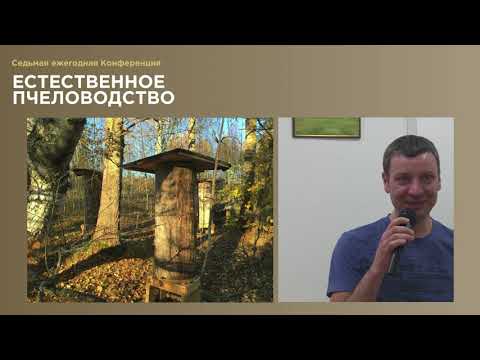 Видео: Пасека, устойчивая к клещу. Выступление Андрея Богданова.