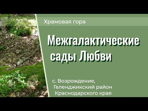 Видео: Межгалактические сады Любви