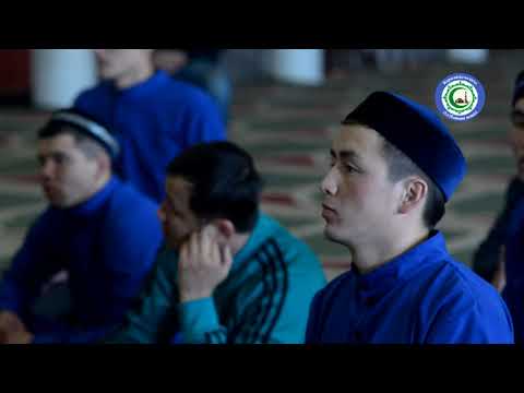 Видео: Жеңгетайлар институты / ұстаз Қабылбек Әліпбайұлы