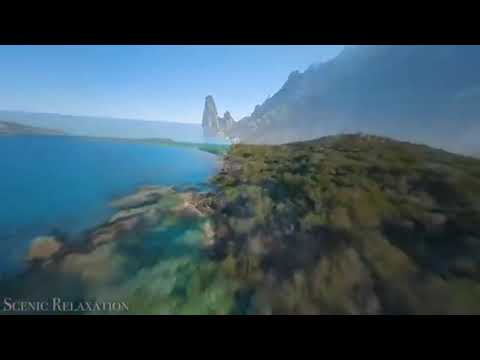 Видео: Юрий Шатунов Белые розы(cover)