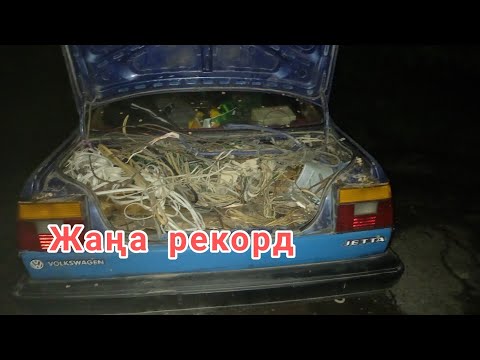 Видео: жаңа рекорд 100 кг темір / кірпіш завод