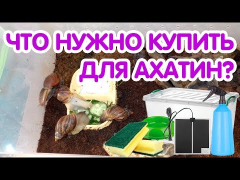 Видео: Что нужно купить для улиток ахатин? Аксессуары для улиток