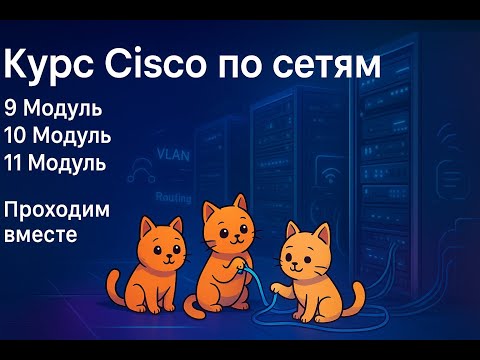 Видео: Проходим курс Cisco network basics вместе | Видео №6