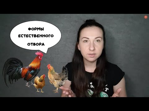 Видео: Биология. Лужи из мезозоя. Жесткие условия жизни на меленьких островах. Формы естественного отбора.