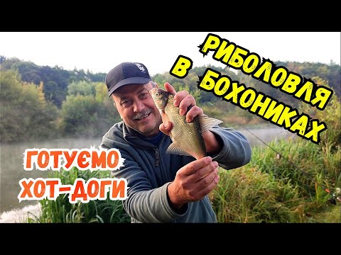 Видео: ЯК МИ ЛОВИЛИ ЛЯЩІВ НА РІЧЦІ ПІВДЕННИЙ БУГ І ГОТУВАЛИ ХОТ-ДОГИ / БОХОНИКИ, ЧУДОВЕ МІСЦЕ