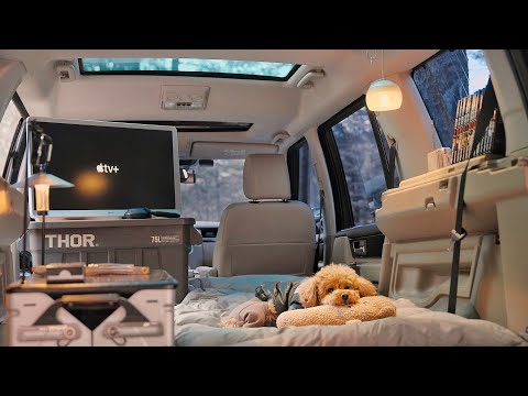 Видео: Одиночный кемпинг на роскошном автомобиле . Уютный отдых с собакой . Дровяная печь ASMR