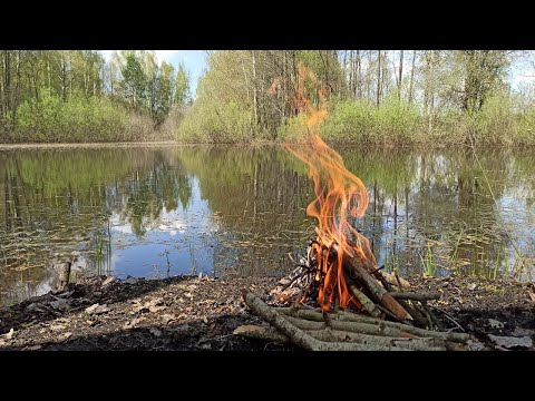 Видео: Обзор тента TALBERG 4х6. Одиночный поход. Лосиха))))