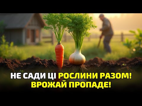 Видео: Ось чому ваші овочі не ростуть! Секрет правильного сусідства рослин, про який ніхто не говорить!