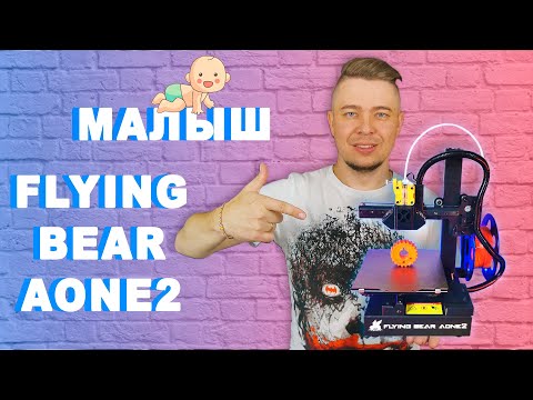 Видео: FLYING BEAR AONE 2 - на что способен недопринтер?