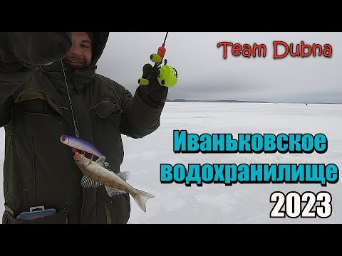 Видео: Иваньковское водохранилище 2023 ловим судака