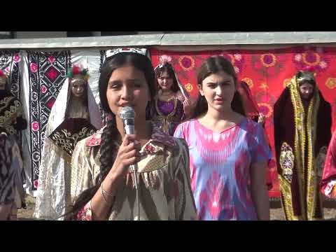 Видео: КОЛЕҶИ ТИББӢ