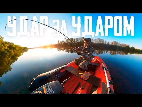Видео: 🔴 УДАР за УДАРОМ на этот УНИКАЛЬНЫЙ ВОБЛЕР!!! 🔥🔥🔥