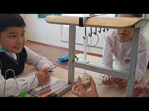 Видео: Жаратылыстану сабағы. Эксперимент жүргізуде 