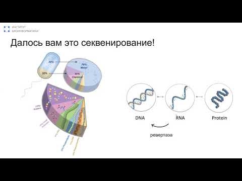 Видео: Биоинформатика в 2025: чего ждать в следующие 5 лет? | Александр Предеус, Институт биоинформатики