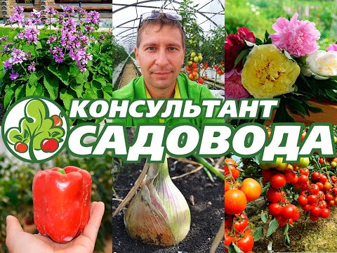 Видео: Консультант Cадовода на Усадьбе №"9