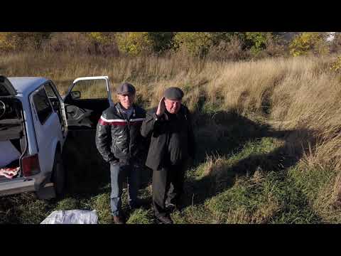 Видео: Богатырь