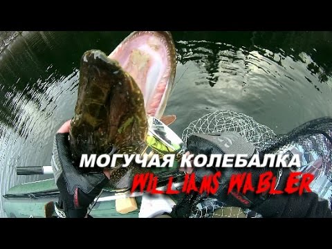 Видео: Могучая колебалка Williams Блесна Williams Wabler