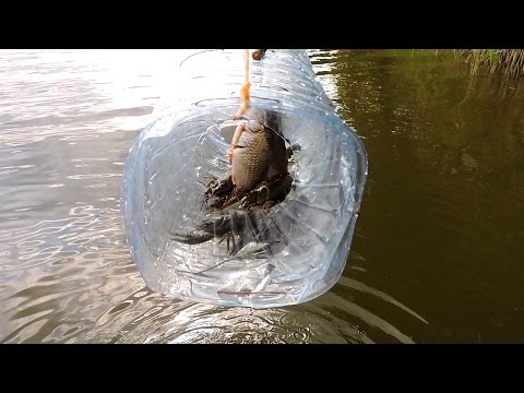 Видео: Бюджетная раколовка с 5-ти литрового бутля.