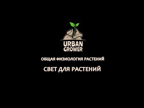 Видео: УРБАН ГРОВЕР УРОК 10 - СВЕТ ДЛЯ РАСТЕНИЙ - ОБЩАЯ ФИЗИОЛОГИЯ РАСТЕНИЙ