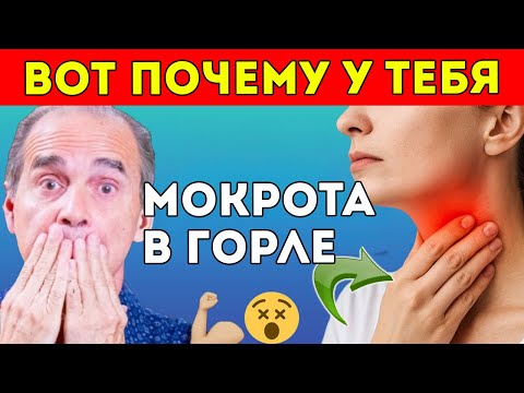 Видео: Истинная Причина Постоянной Мокроты И Как Твоё Тело Пытается Исцелить Себя Франк Суарес