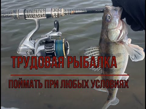 Видео: ВЕТЕР В ХАРЮ, Я ФИГАРЮ AZURA X GAME X99M