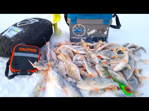 Видео: РЫБАЛКА МЕЧТЫ! ТАКОЙ КЛЁВ БЫВАЕТ РЕДКО. Ловля ОКУНЯ на мормышку! ПОД ВЕЧЕР ПОПАЛ НА ОКУНЕВЫЙ ЛИФТ!!!