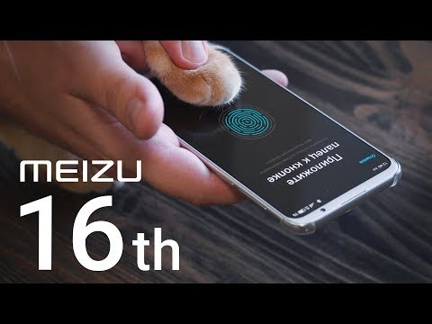 Видео: Удивительный Meizu 16th: кошка разблокирует смартфон