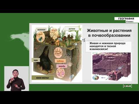 Видео: 8 класс - РУ - География - №7 - Почвы Кыргызстана.  Земельные ресурсы