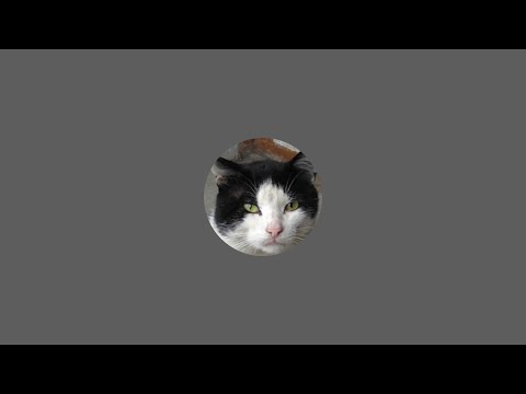 Видео: Вечер пятницы с телефона. Город и разговоры о Nikon Zf. Что нового в прошивке 3.0