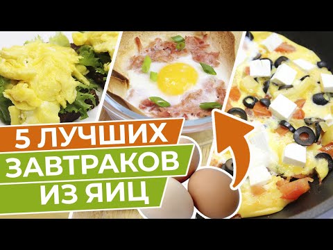 Видео: Правильный завтрак – готовим дома 5 вкусных завтраков из яиц / Заряд энергии на весь день!