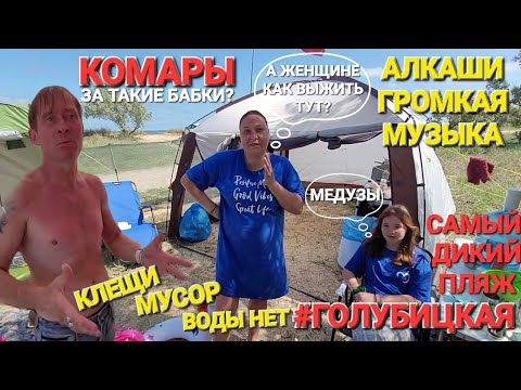 Видео: #ГОЛУБИЦКАЯ. Медузы - Алкаши, клещи, комары, мусор, все зас..ли! ПОЛНАЯ Ж.. Дикие пляжи.