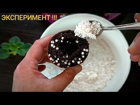 Видео: ЭКСПЕРИМЕНТ!!!  НЕОБЫЧНЫЙ СПОСОБ ПЕРЕУКОРЕНЕНИЯ!