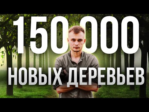 Видео: Восстановление лесов на Алтае и в Казахстане 2024 | Как проходила экоакция по высадке деревьев