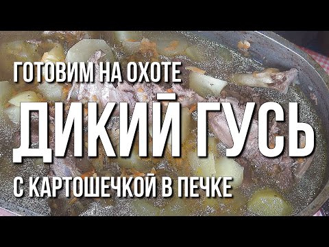 Видео: Готовим на охоте. Дикий гусь с картошечкой в печке