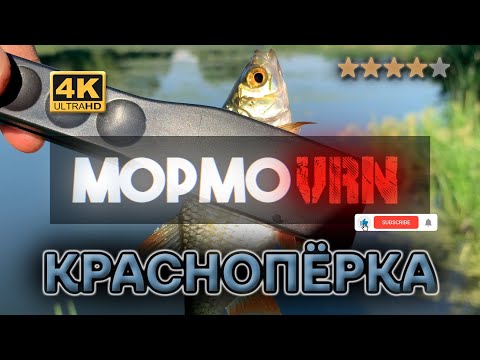 Видео: #262 #мормышинг | Охота на красноперку | Стратегия |