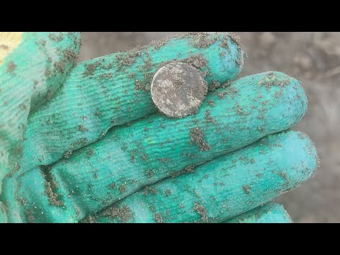 Видео: Нашли серебряную монету в поле nokta legend nokta simplex