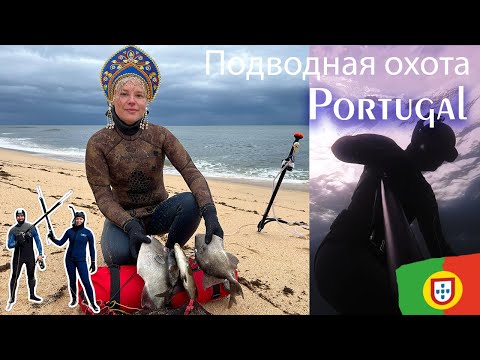 Видео: Спинороги, крабы, осьминоги  - Подводная охота в Португалии