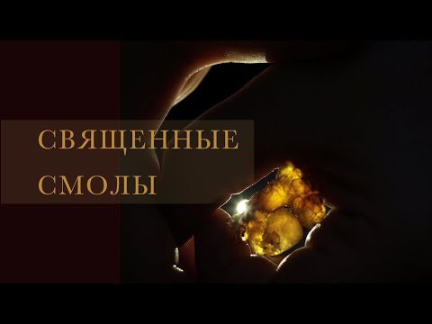 Видео: Парфюмерные дневники Ясина Анвари. Священные смолы.