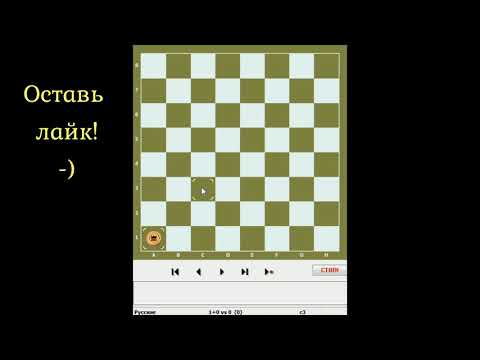 Видео: #11 ОСНОВА ЭНДШПИЛЯ! Как поймать любую дамку! 3 B дамки против дамки и шашки! И неотъемлемые права!