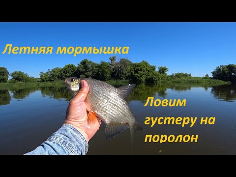 Видео: Летняя мормышка. Верхняя Москва река.  Ловим густеру на поролон.