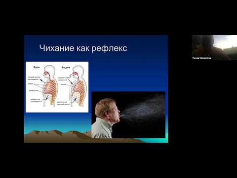 Видео: Капалабхати.  Вебинар  Р. С . Минвалеева.